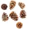 Large Cinnamon Scented Pinecones by Ashland®